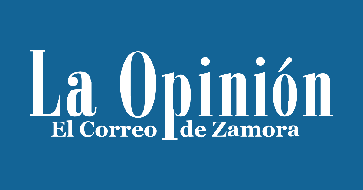Setas de Castilla y León: la marca que pone en valor lo que nace en nuestros montes